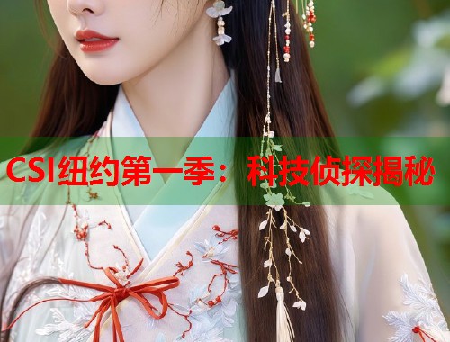 CSI纽约第一季：科技侦探揭秘