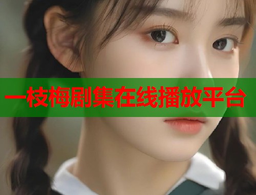 一枝梅剧集在线播放平台