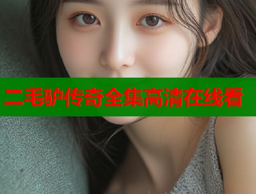 二毛驴传奇全集高清在线看