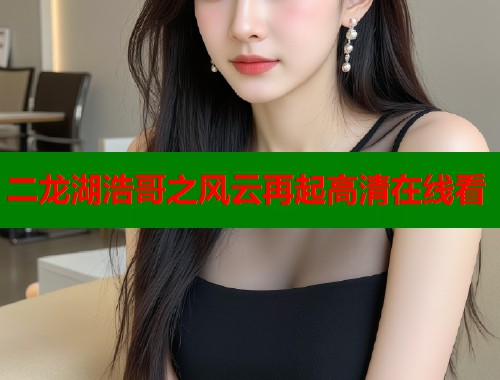 二龙湖浩哥之风云再起高清在线看
