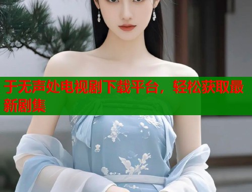 于无声处电视剧下载平台，轻松获取最新剧集