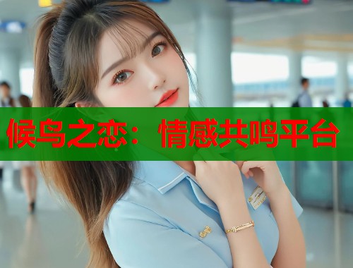 候鸟之恋：情感共鸣平台