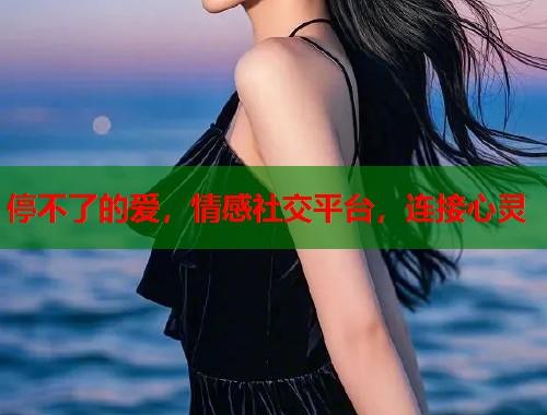停不了的爱，情感社交平台，连接心灵
