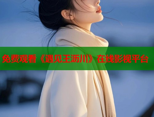 免费观看《遇见王沥川》在线影视平台