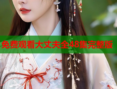免费观看大丈夫全48集完整版