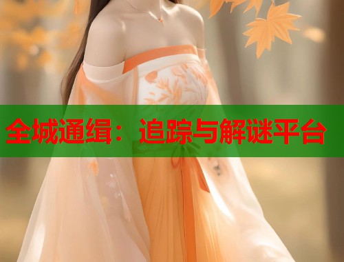 全城通缉：追踪与解谜平台