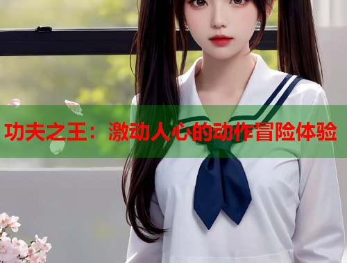 功夫之王：激动人心的动作冒险体验
