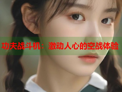 功夫战斗机：激动人心的空战体验