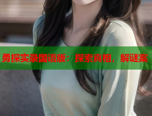 勇探实录国语版：探索真相，解谜案