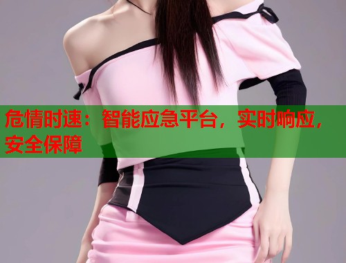 危情时速：智能应急平台，实时响应，安全保障
