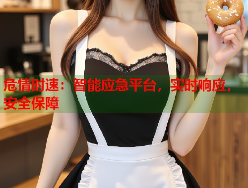 危情时速：智能应急平台，实时响应，安全保障