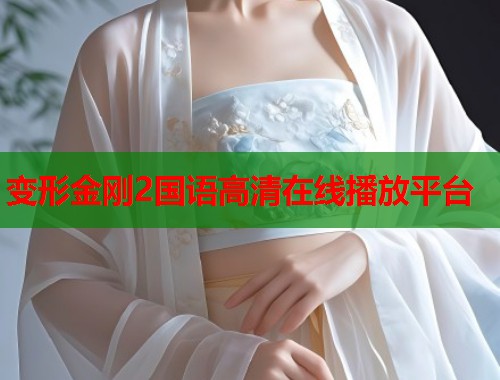 变形金刚2国语高清在线播放平台