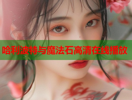 哈利波特与魔法石高清在线播放