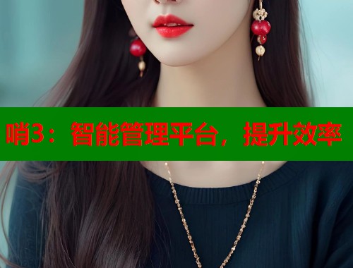 哨3：智能管理平台，提升效率