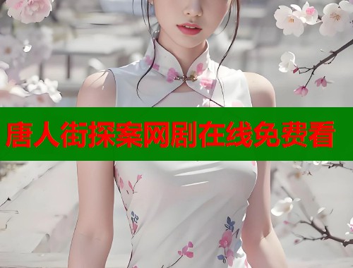 唐人街探案网剧在线免费看
