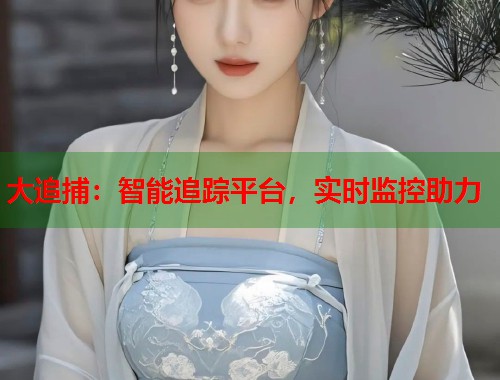 大追捕：智能追踪平台，实时监控助力