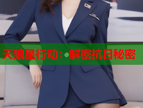 天狼星行动：解密抗日秘密