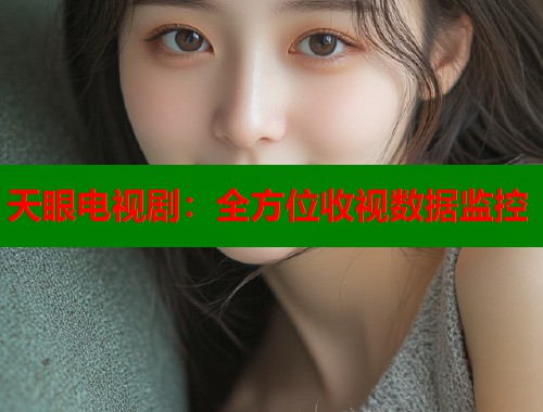 天眼电视剧：全方位收视数据监控