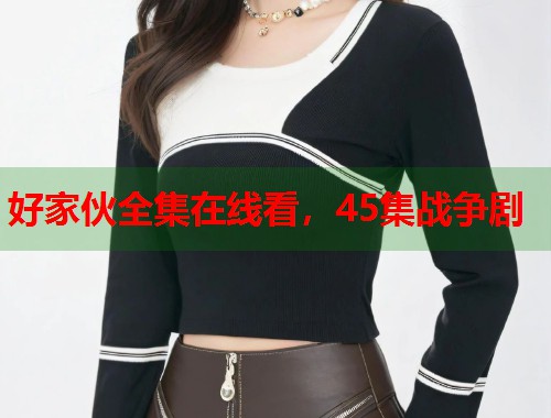 好家伙全集在线看，45集战争剧