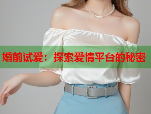 婚前试爱：探索爱情平台的秘密