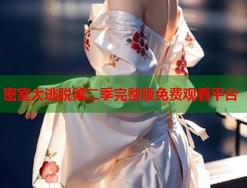 密室大逃脱第二季完整版免费观看平台