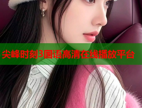 尖峰时刻3国语高清在线播放平台